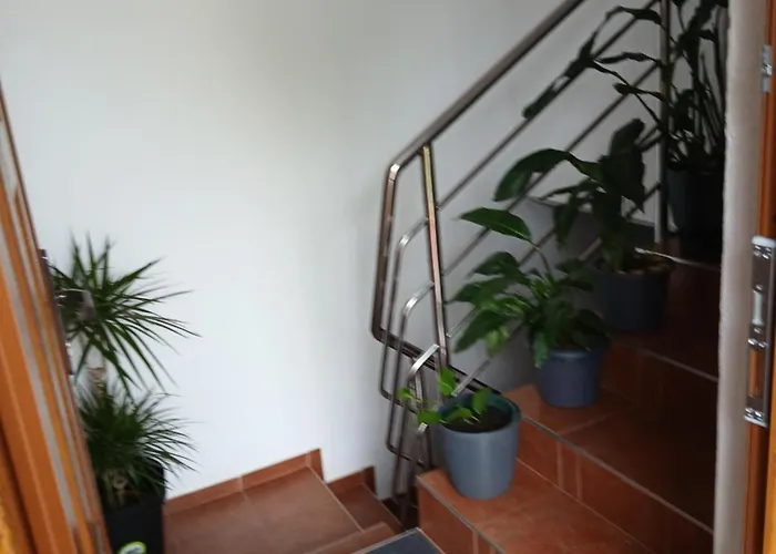 Apartman Luka Zadar